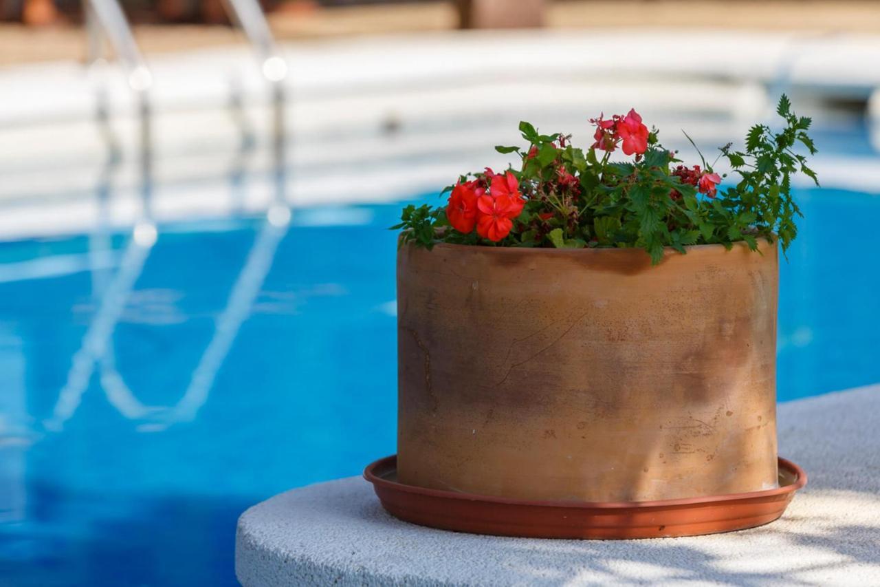 Casa Duende En Villa De Nijar Con Piscina Cameră foto